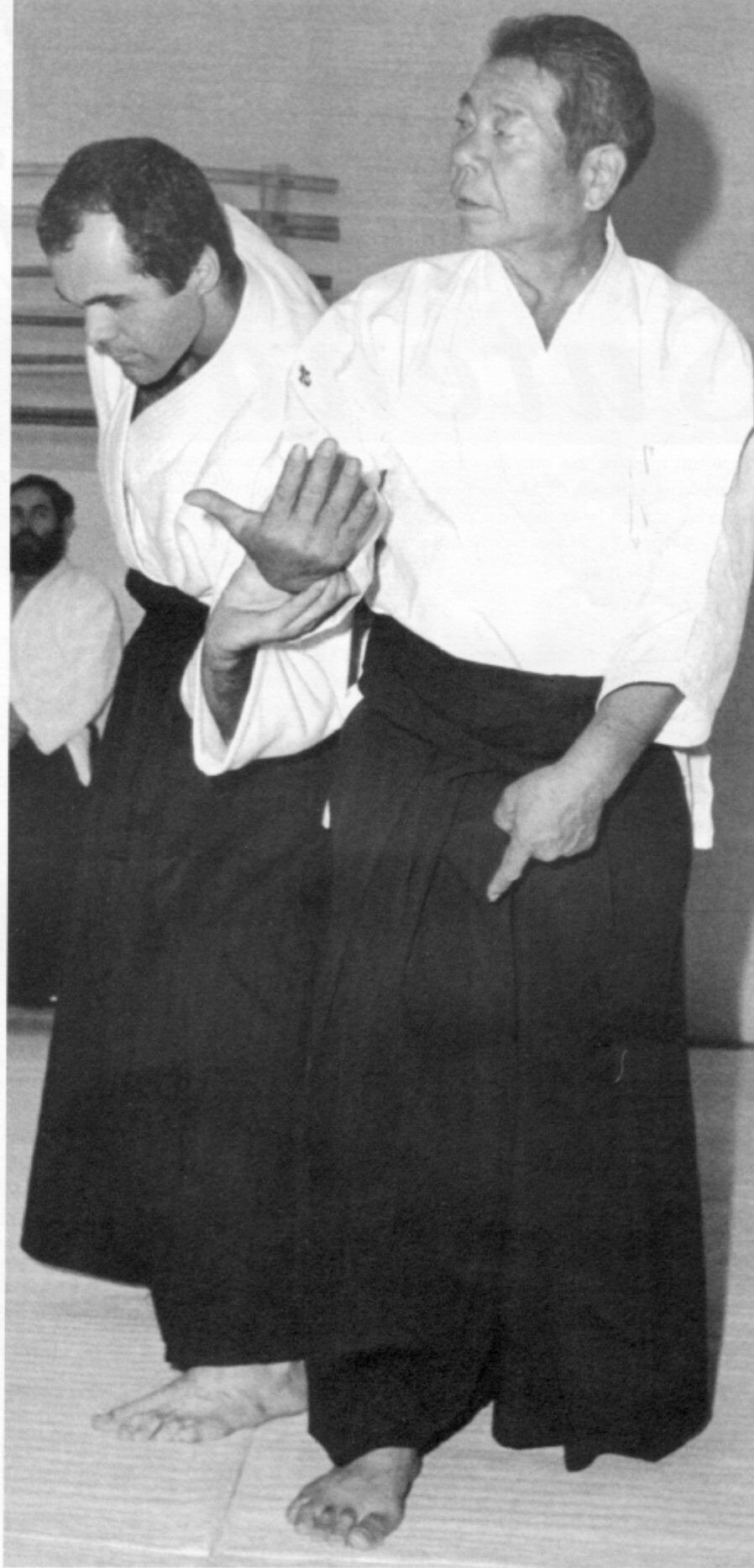 Aikido moderne