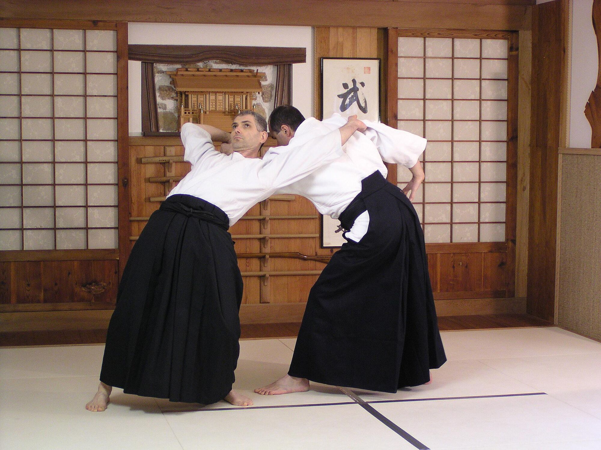 Shiho nage omote (direction 1/4)