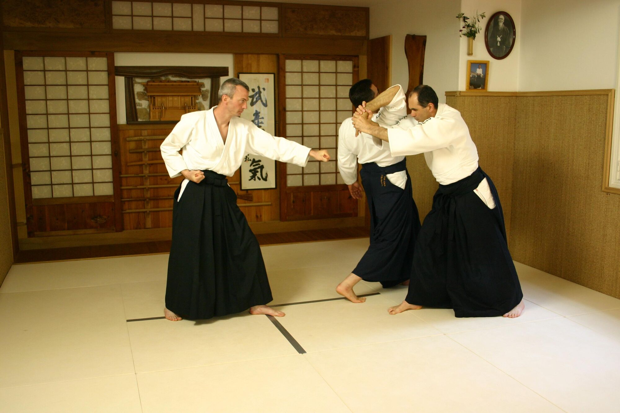 Tai jutsu - shiho nage