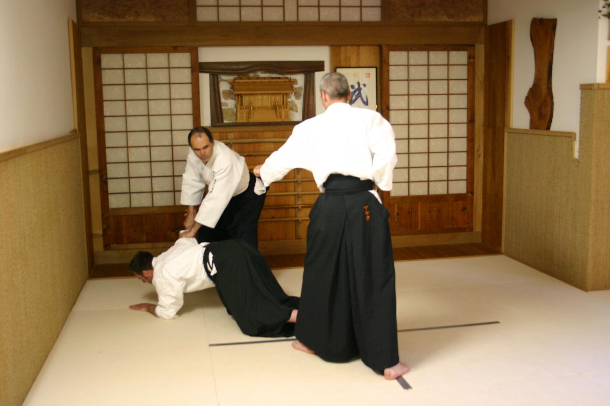 Tai jutsu - ikkyo