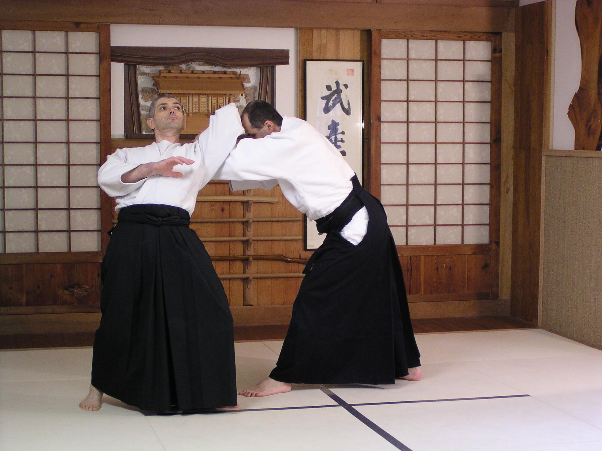 Shiho Nage Omote #2