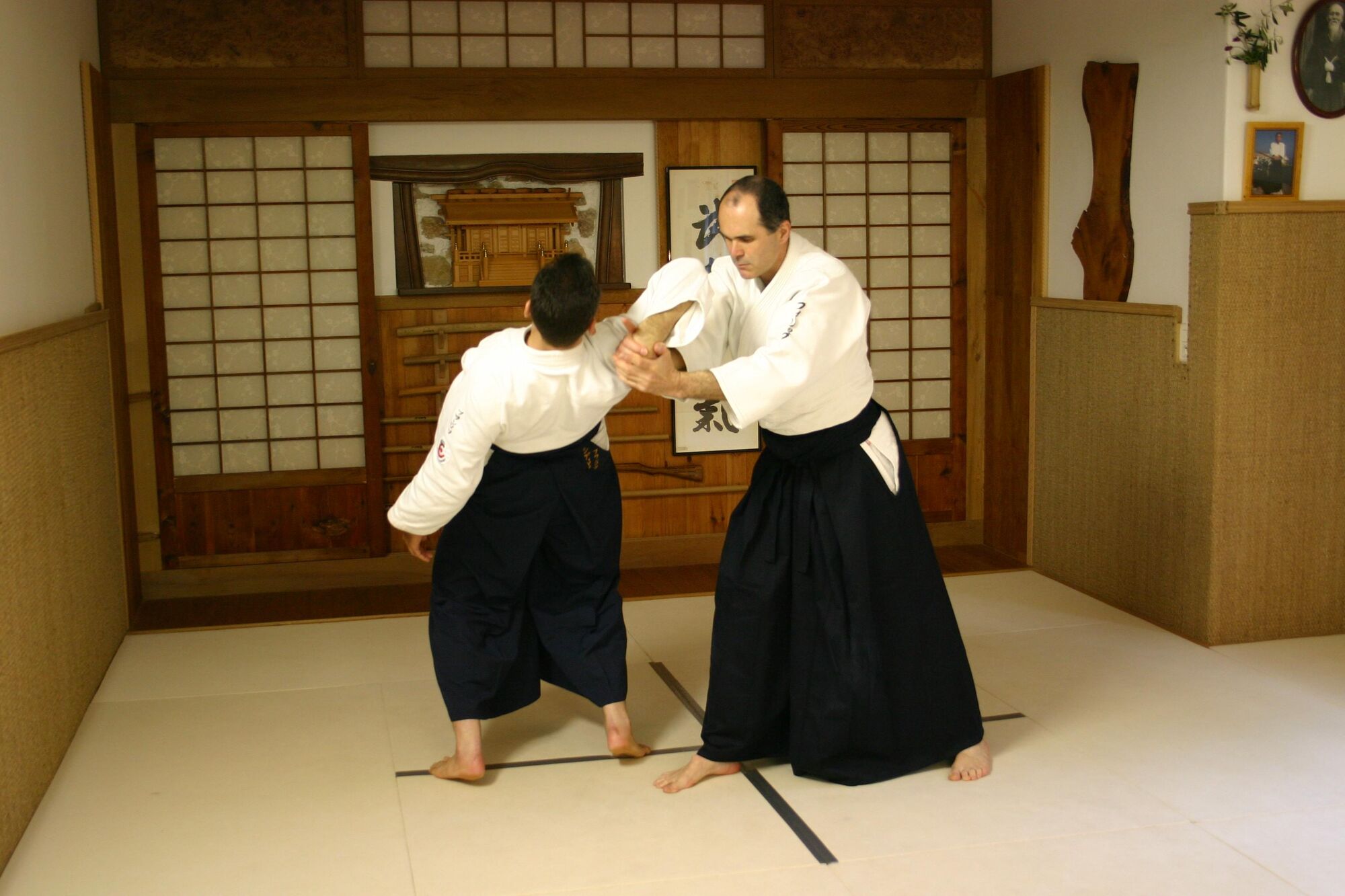 Shiho Nage Omote #3