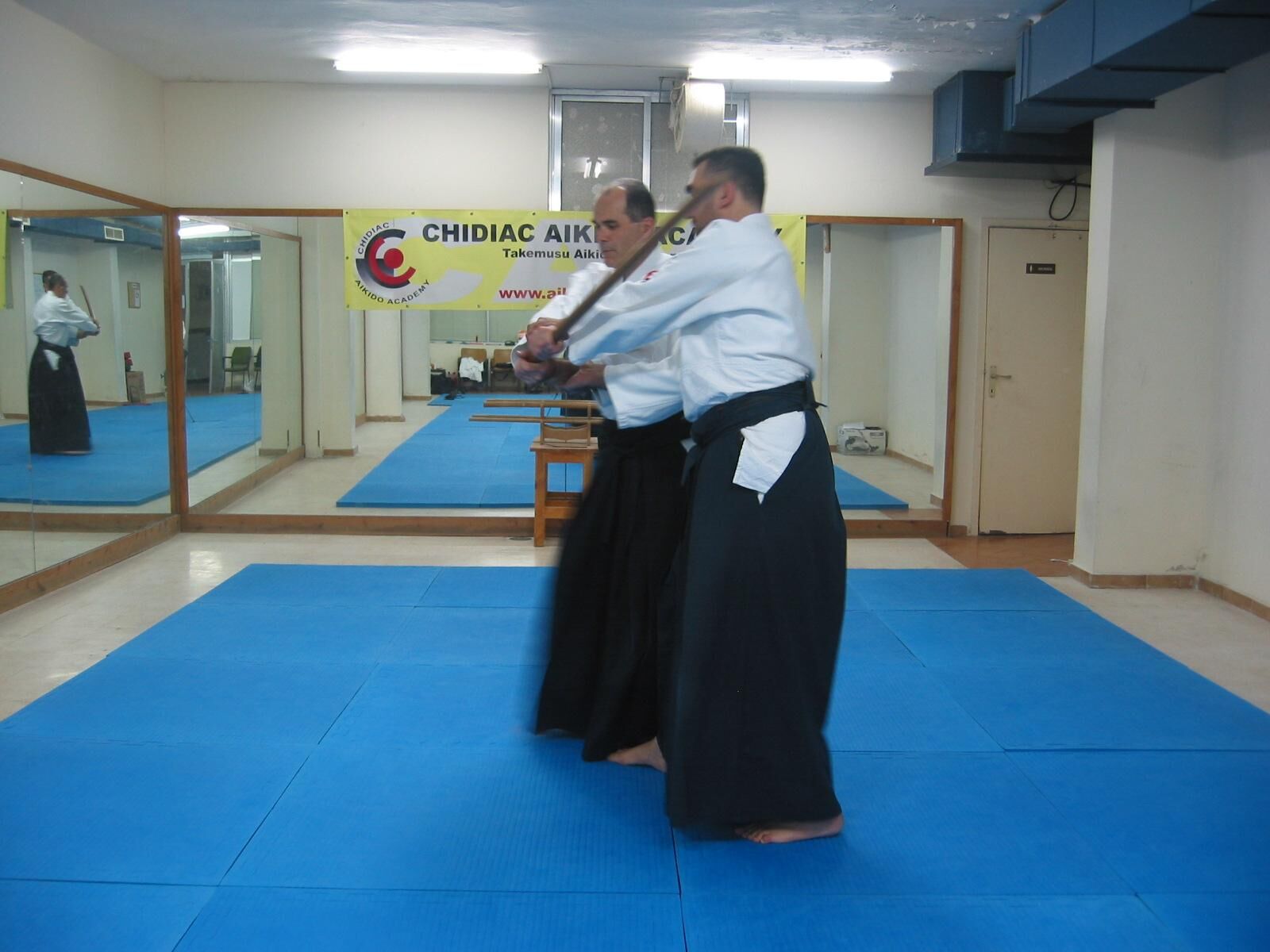 Shiho Nage Ura Waza