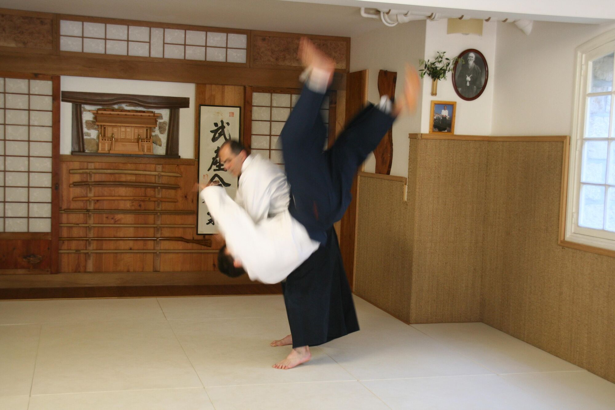 Ushiro Ryote Dori Koshi nage