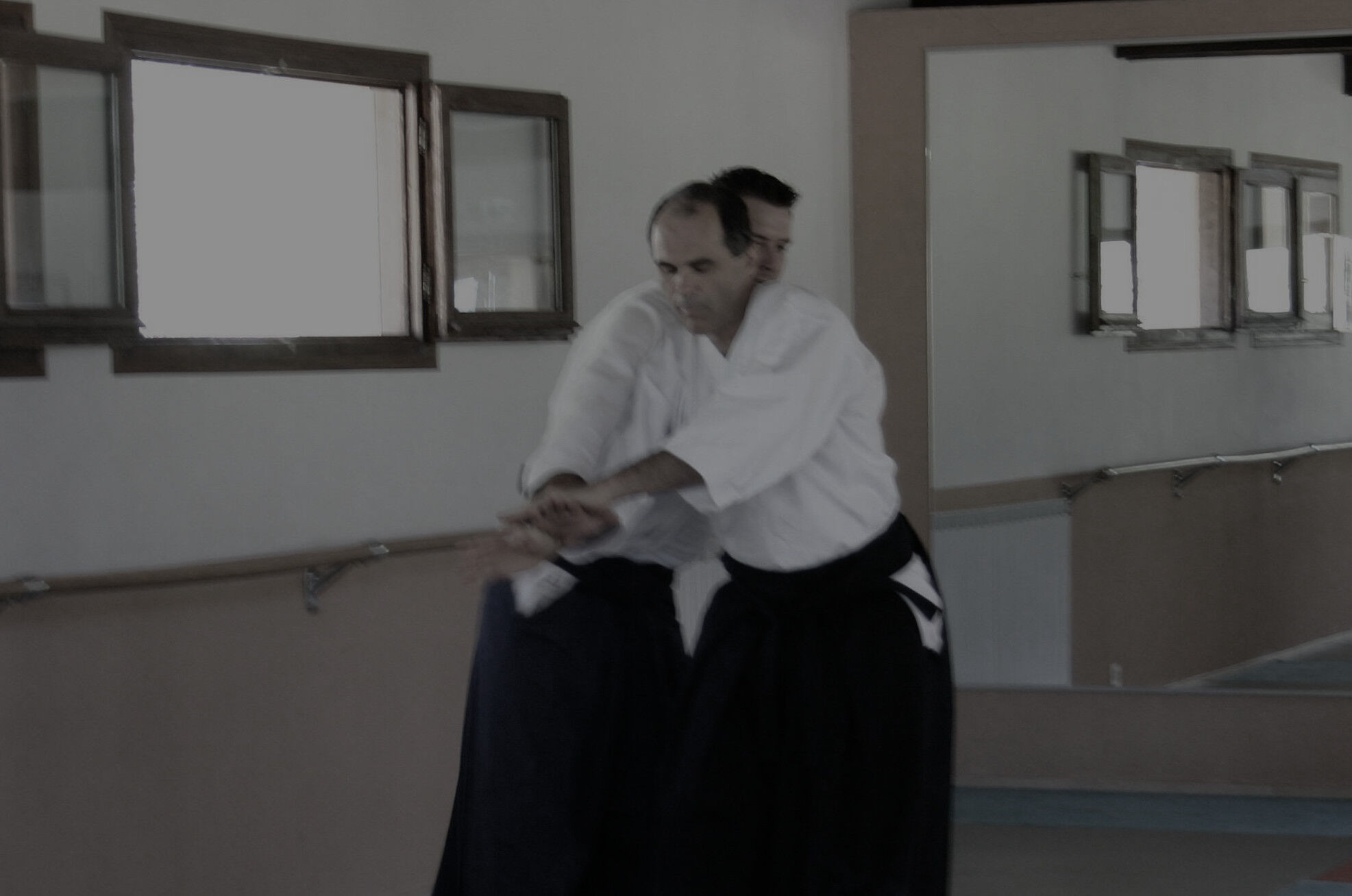 Kaeshi Waza