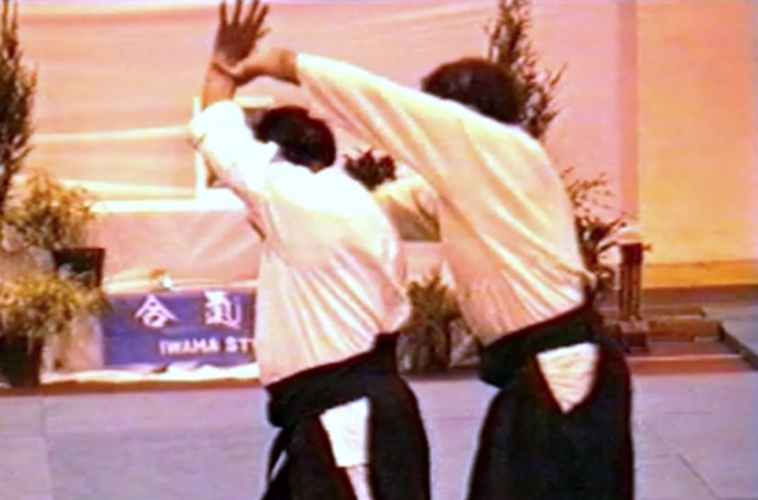 USHIRO RYOTE DORI KOKYU NAGE