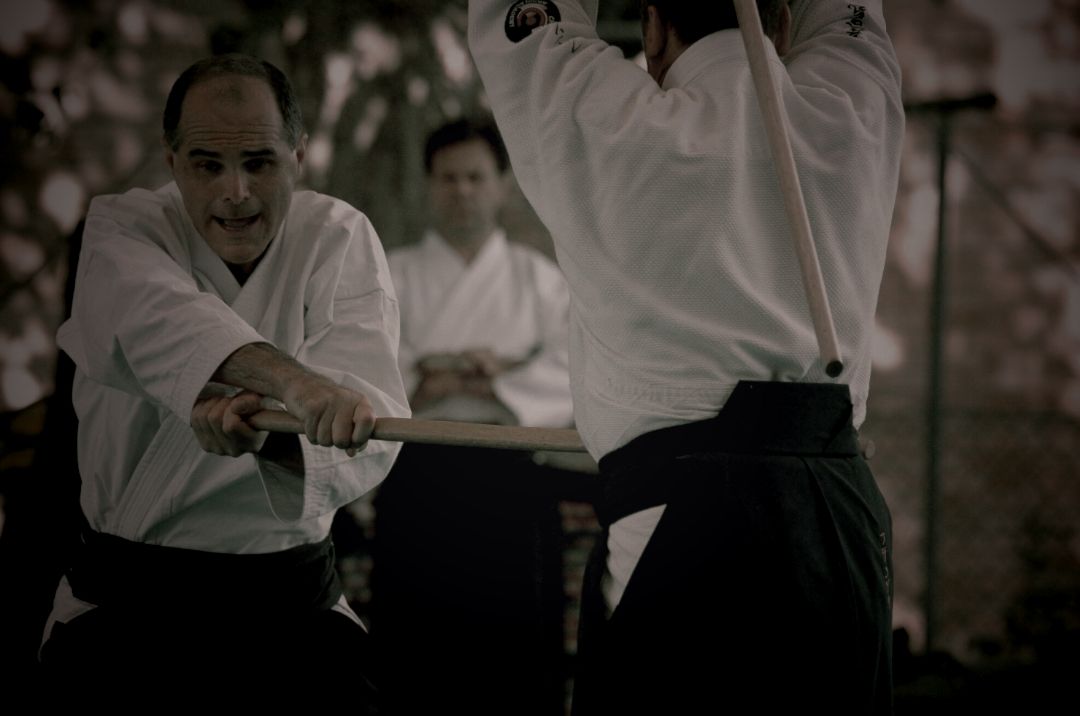 Aikido Takemusu