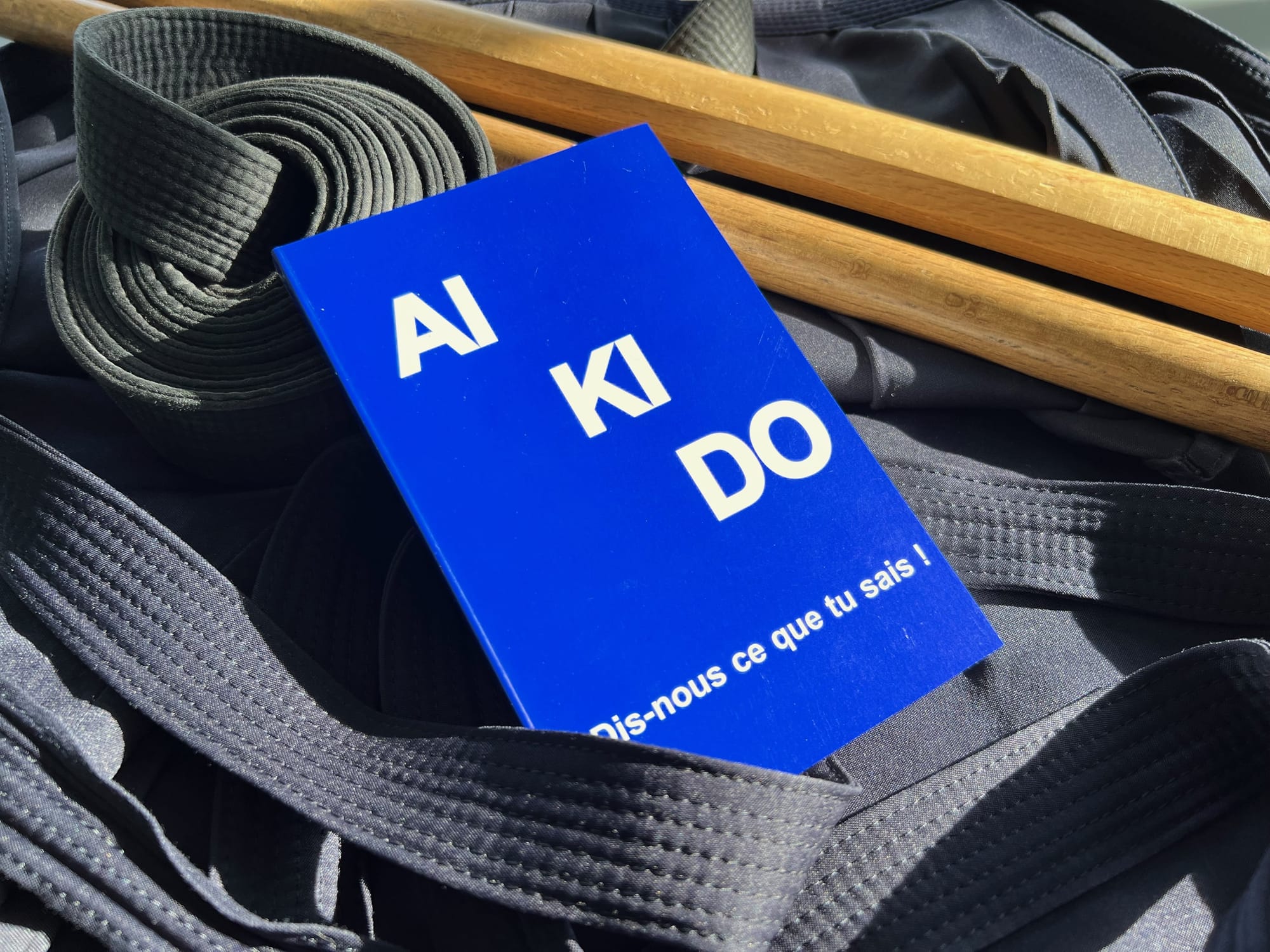 📖 Livre de Pierre CHASSANG : AIKIDO Dis-nous ce que tu sais !